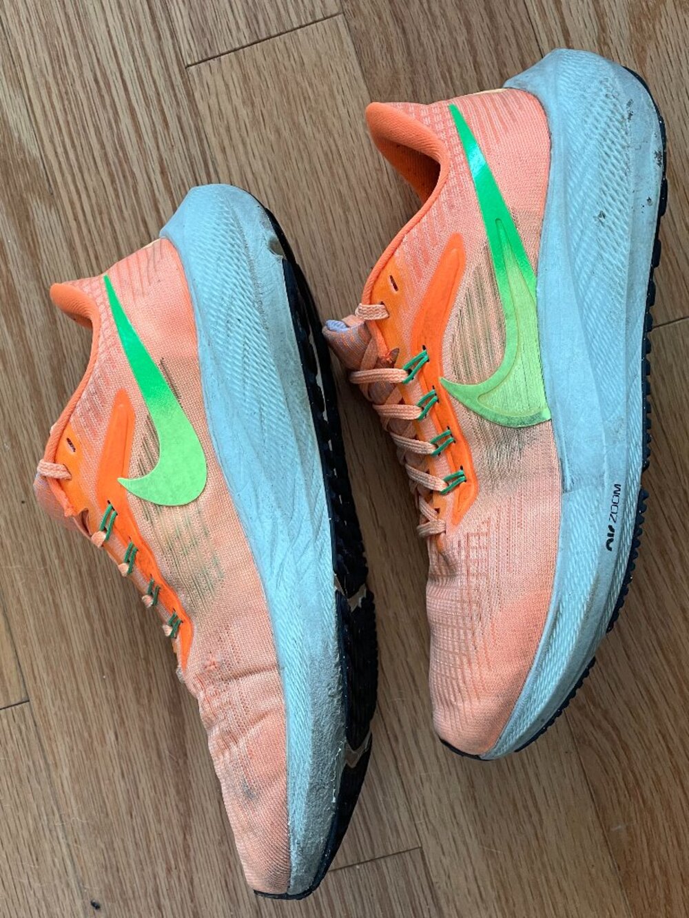 Nike Air Zoom Pegasus 39